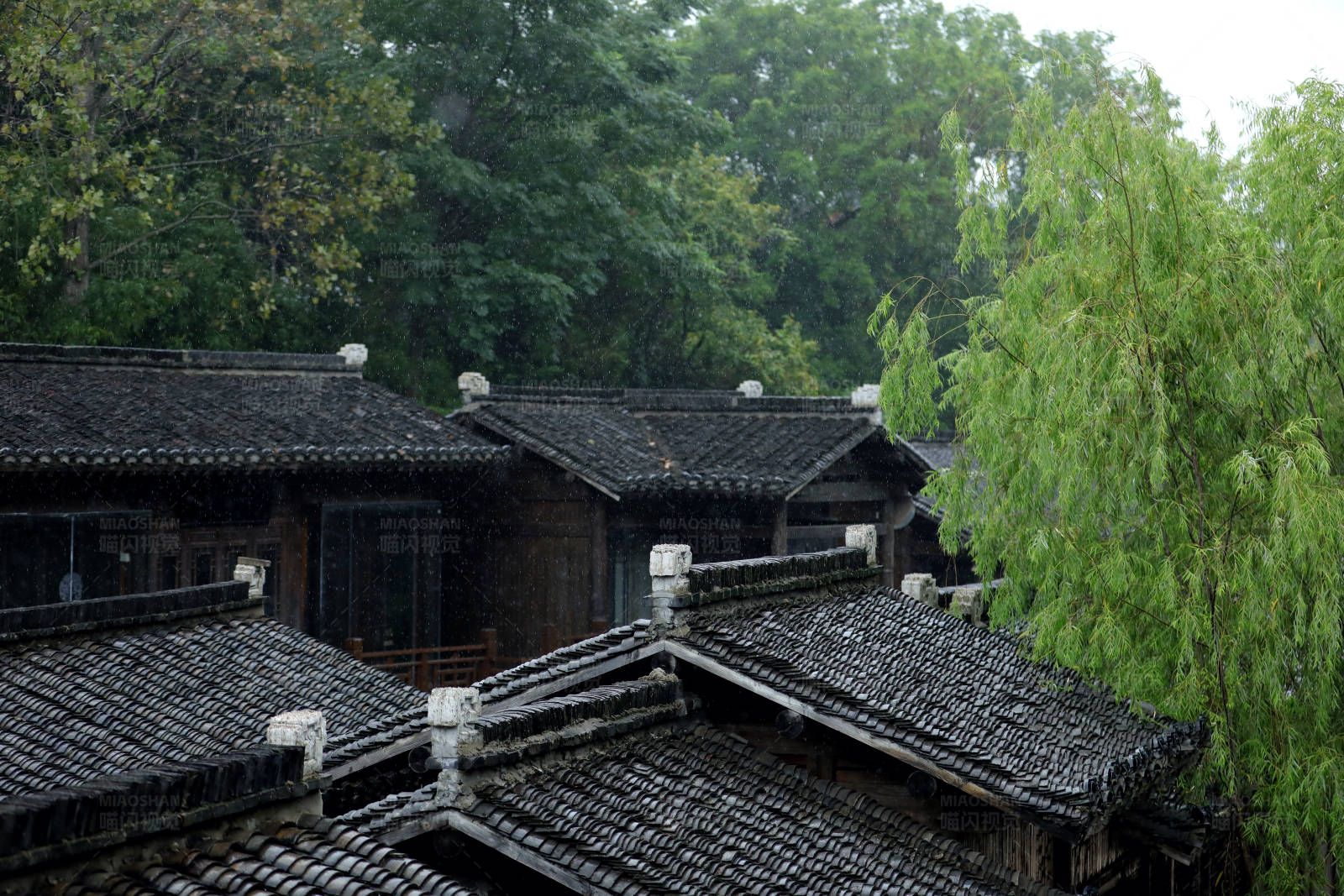雨中的古建筑屋顶图片