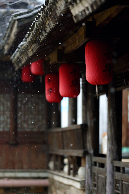 雨中红灯笼图片