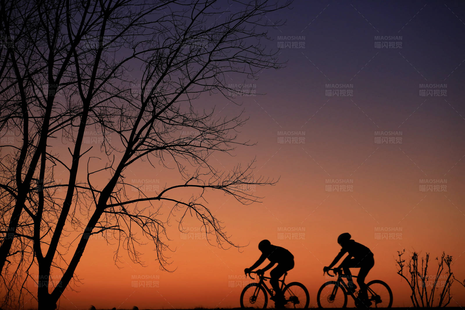 夕阳下的骑行剪影图片