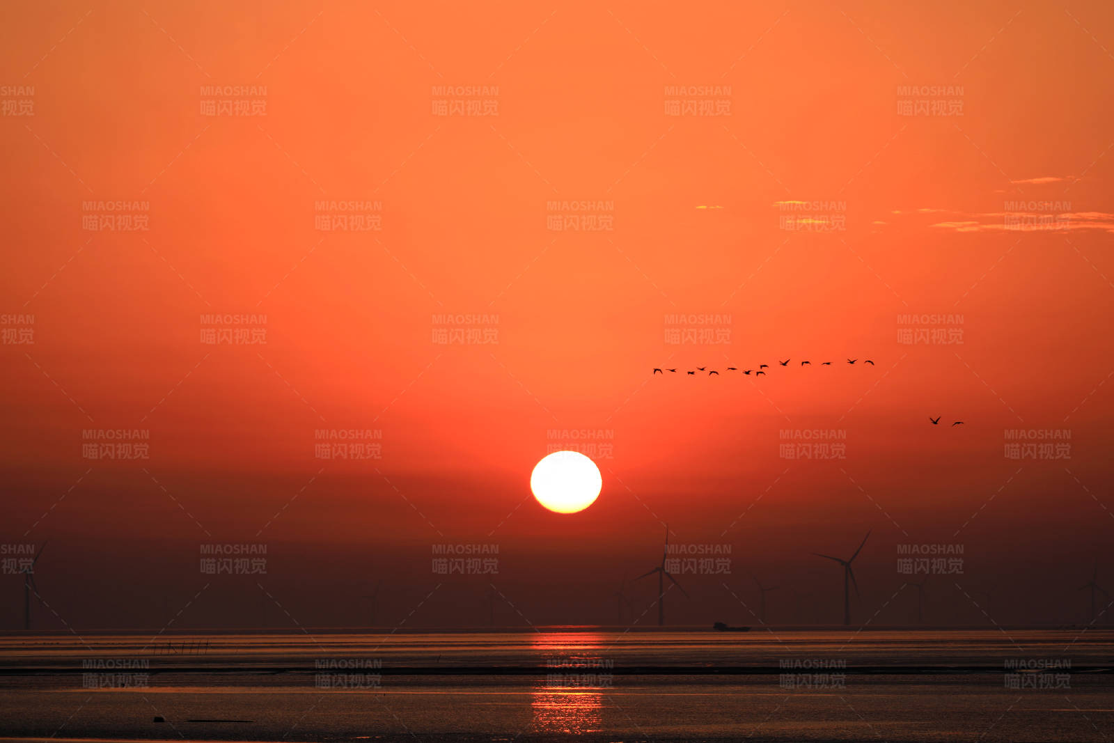 海上日出时的风车与鸟群图片