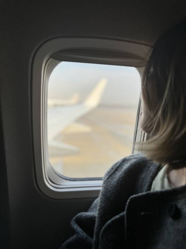 窗外的飞行图片