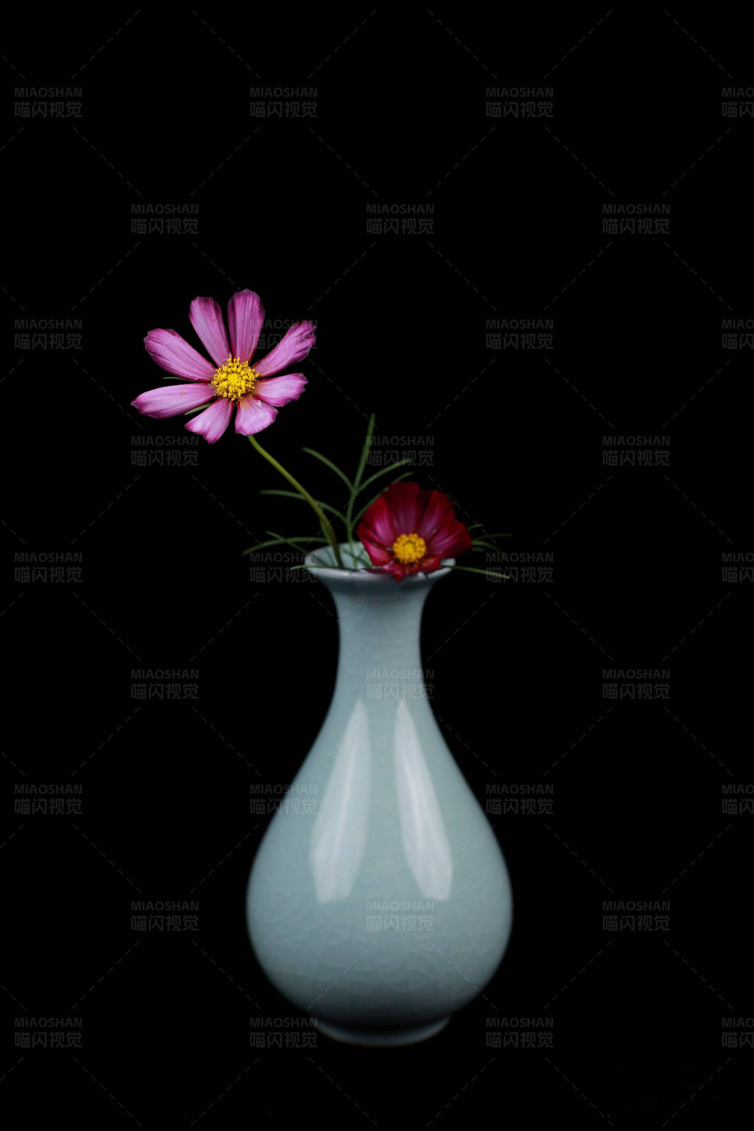 花瓶中的两朵花图片