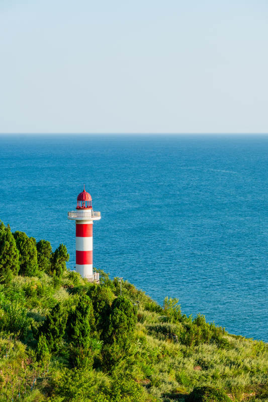 海岸上的红白灯塔图片