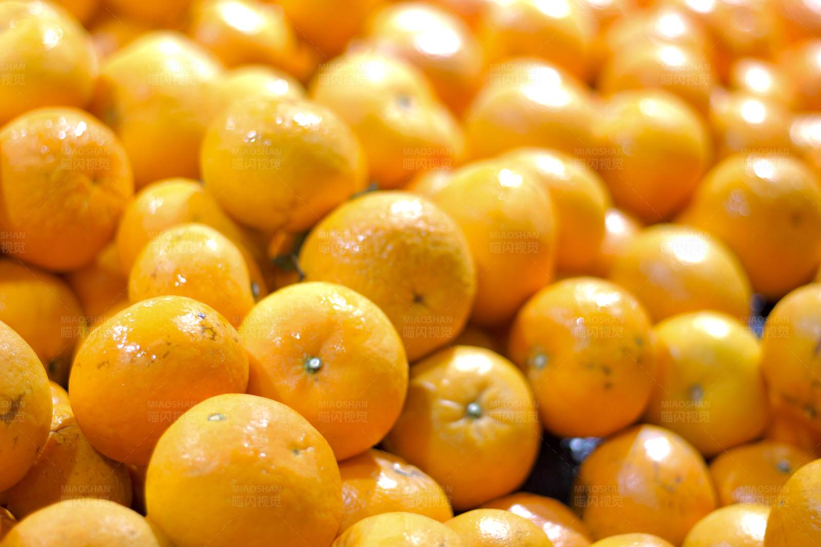 新鲜橙子堆图片