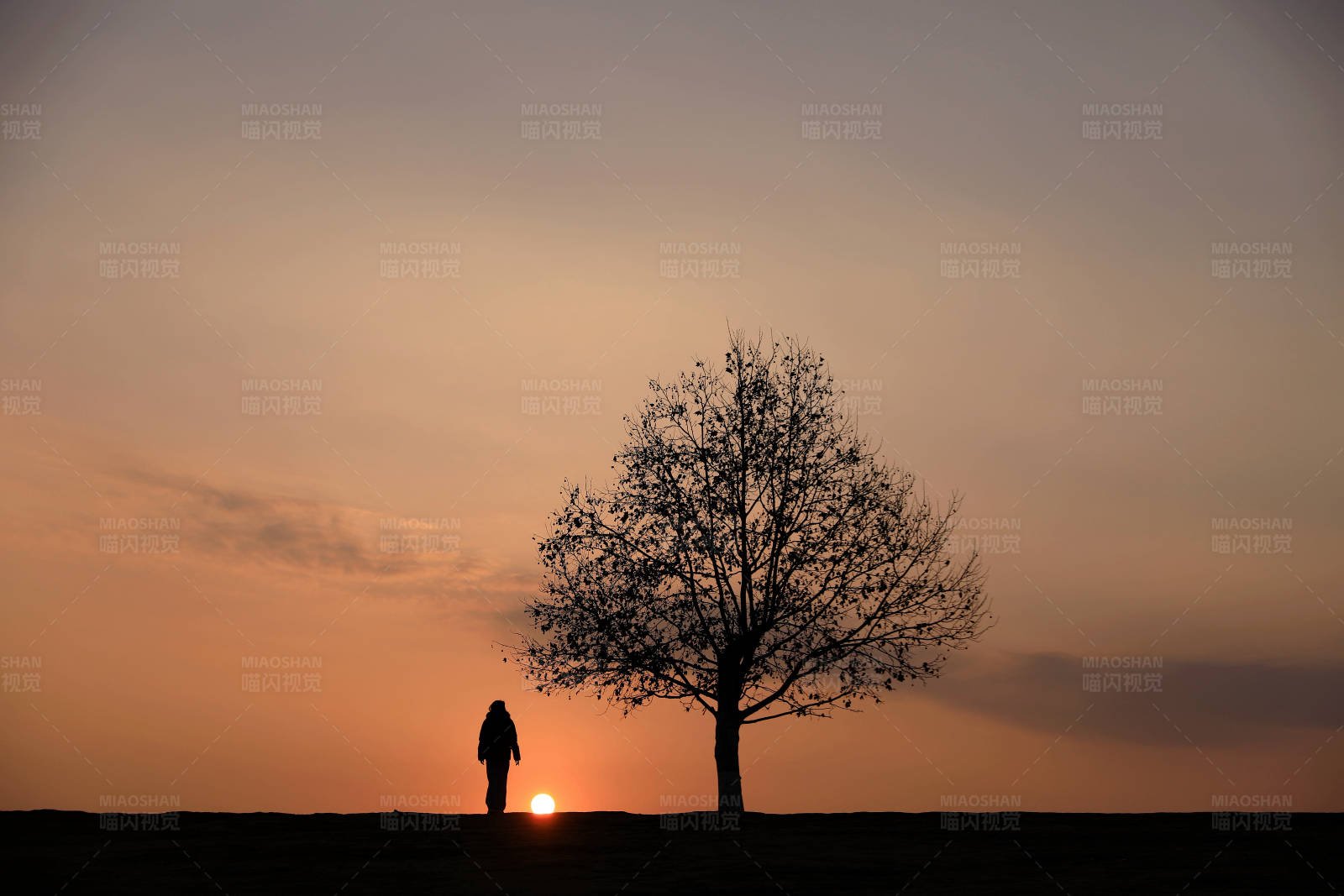 夕阳下的孤独身影图片