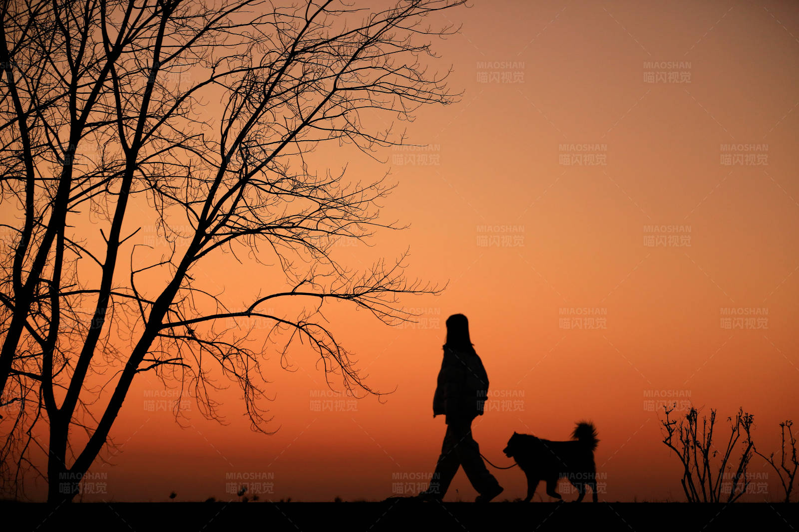 夕阳下的散步的人和狗图片