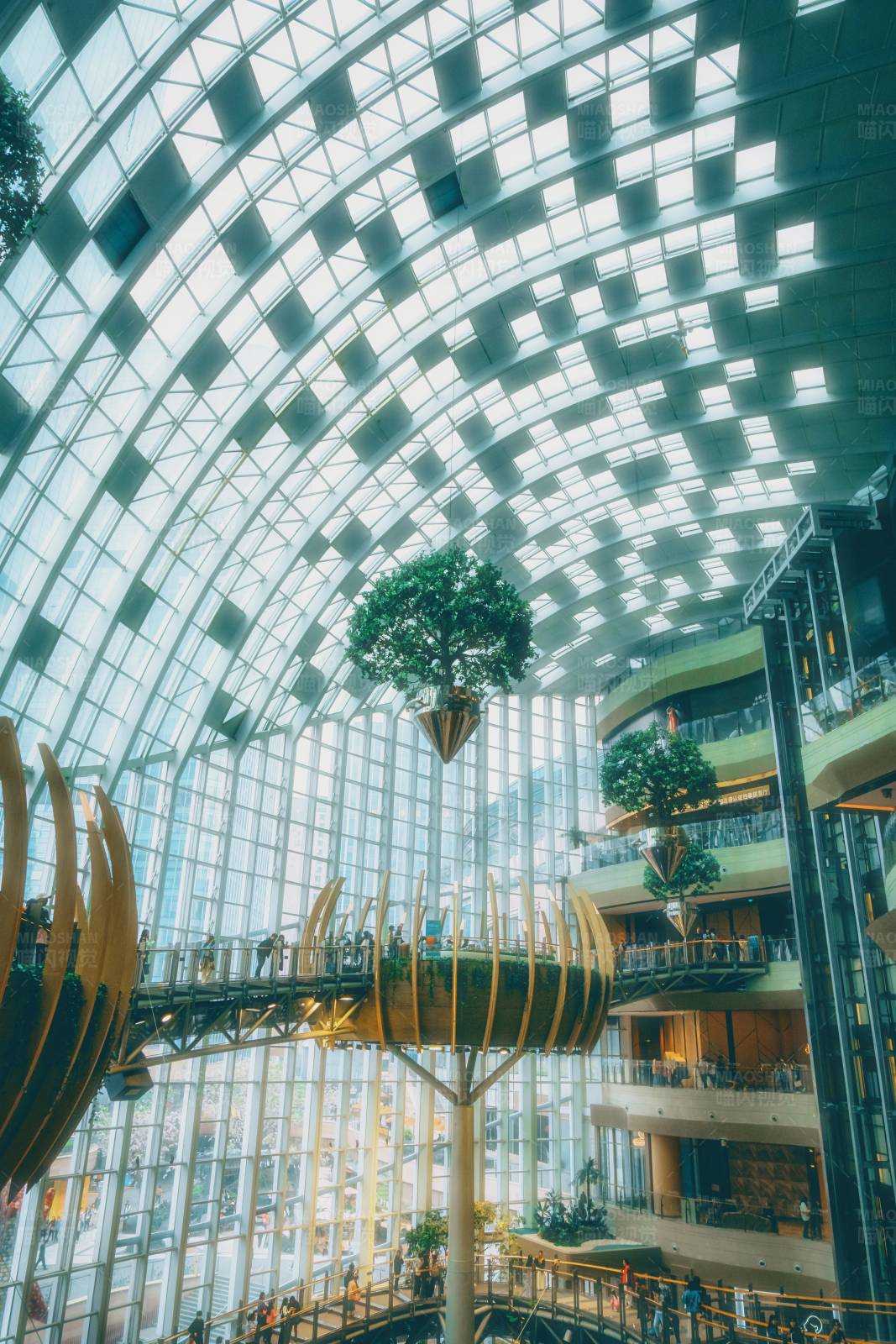 室内花园穹顶图片