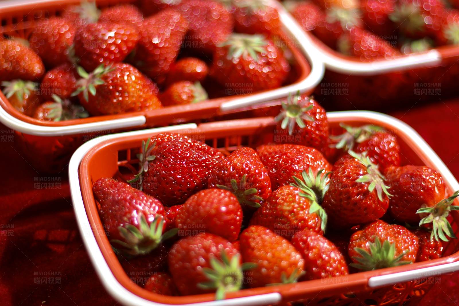 新鲜草莓篮子图片