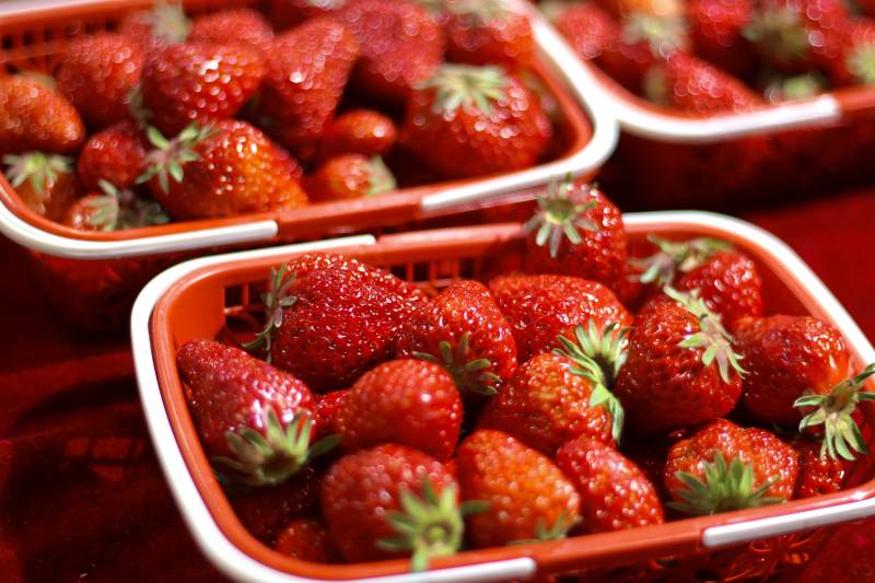 新鲜草莓篮子图片