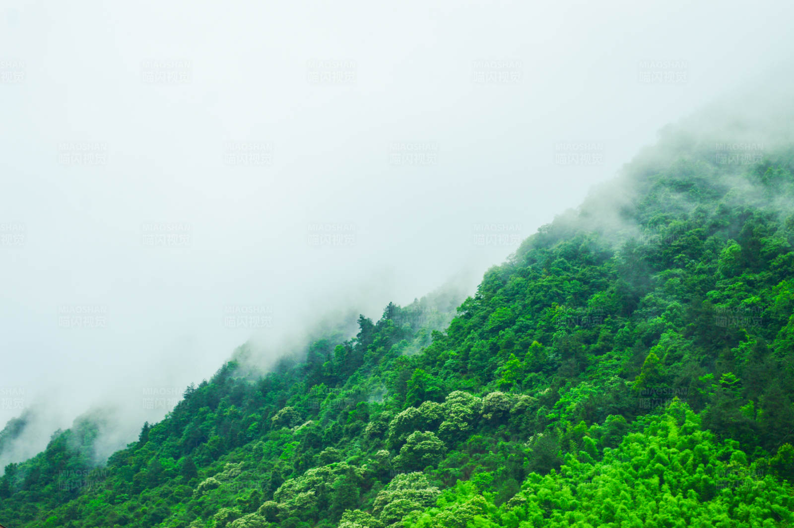 云雾缭绕的青山图片