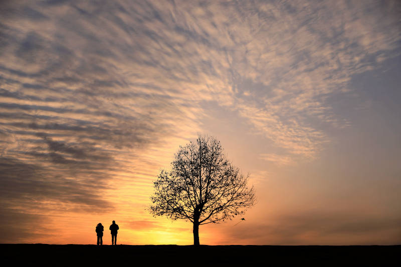 夕阳下的陪伴图片