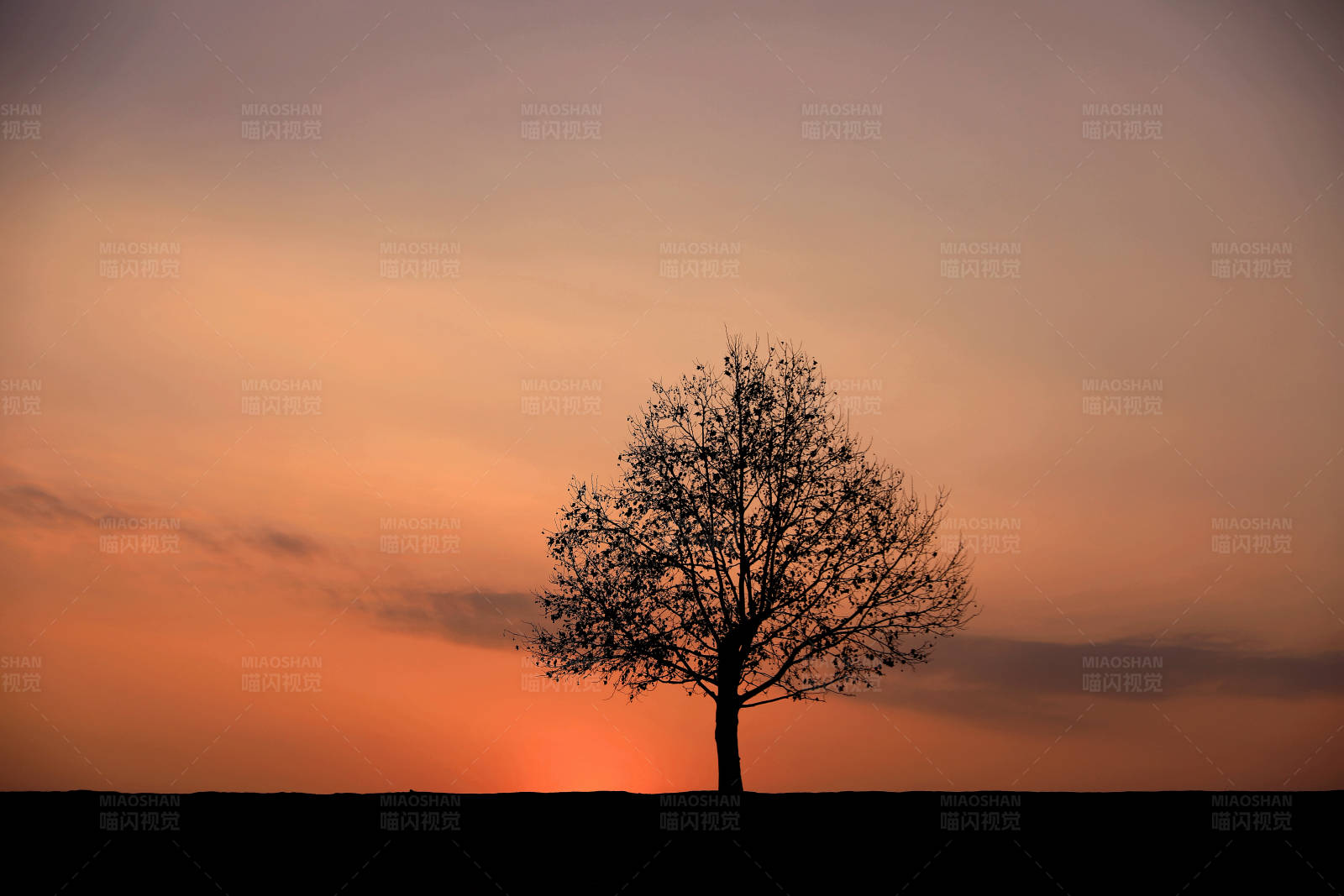 南京孤树日落剪影图片