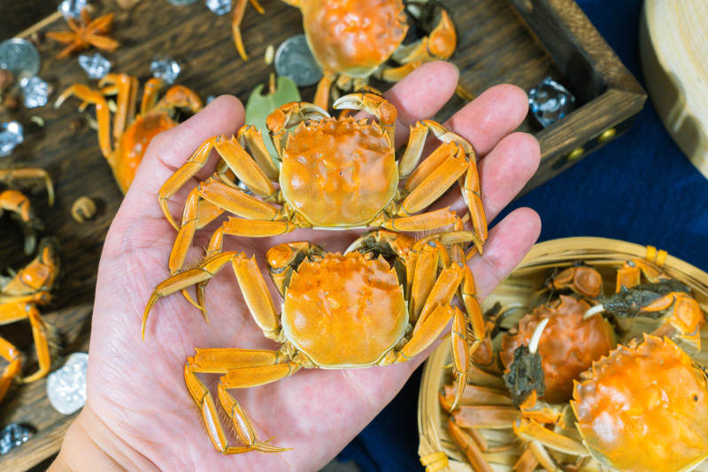 掌中蟹黄满溢图片