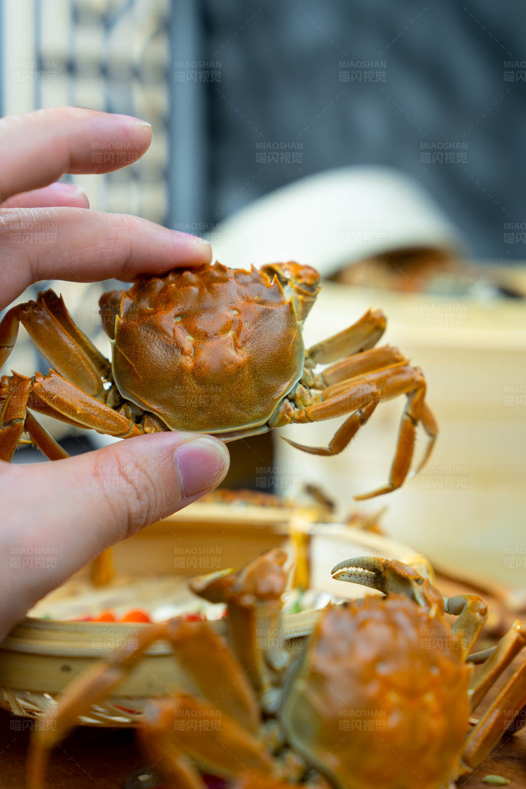 手抓大闸蟹图片