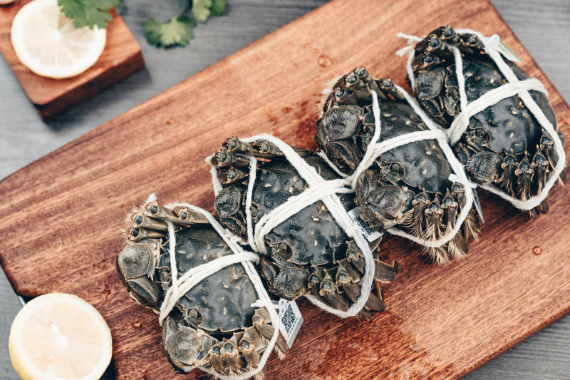 新鲜大闸蟹准备烹饪图片