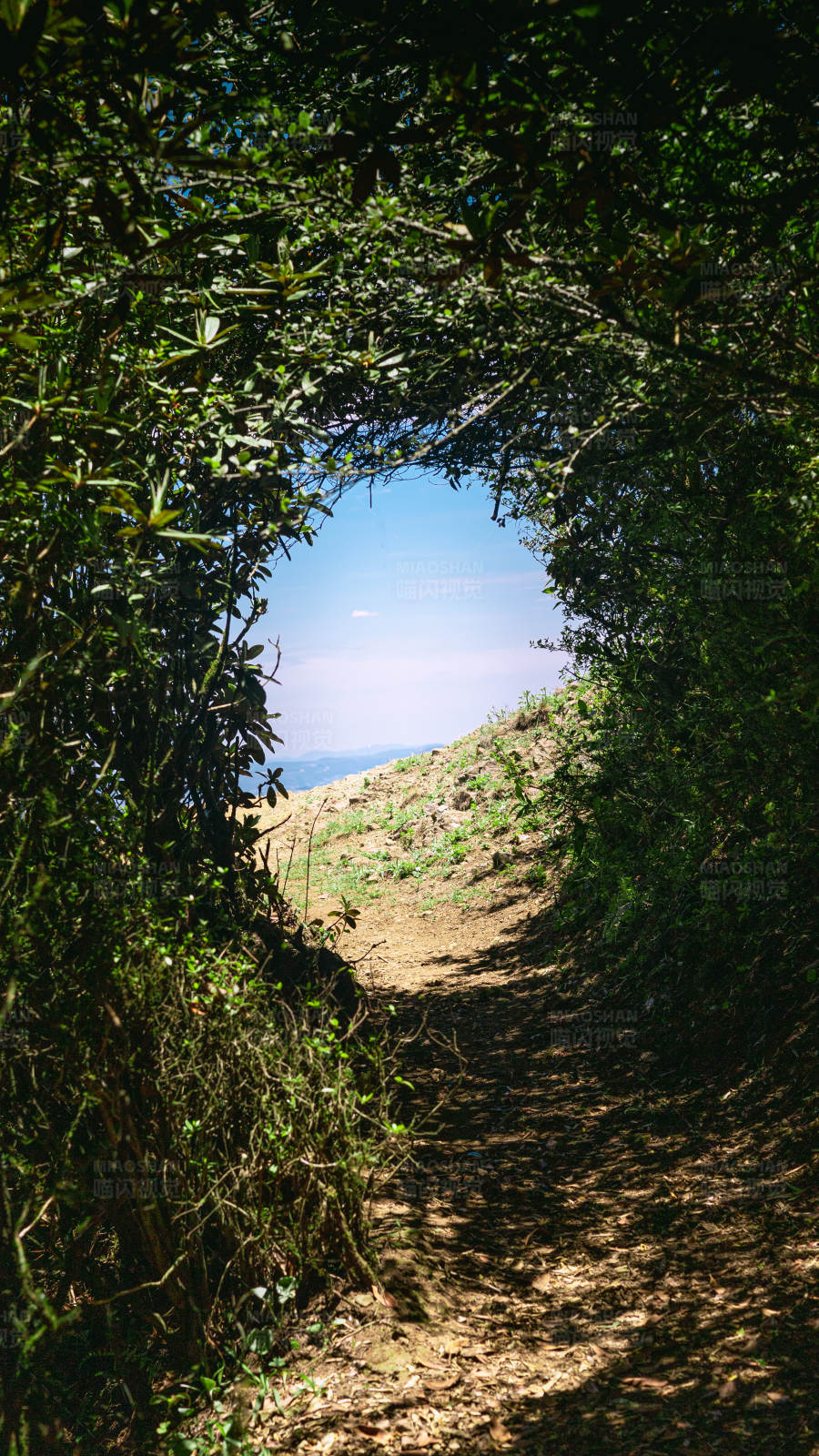 山间小径通向远方图片
