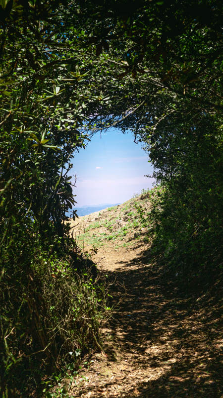 山间小径通向远方图片