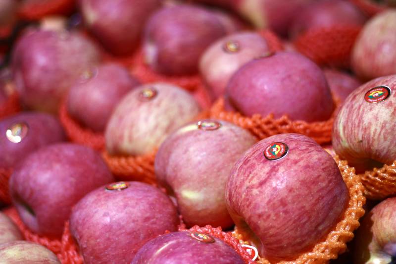 红苹果的丰收季节图片