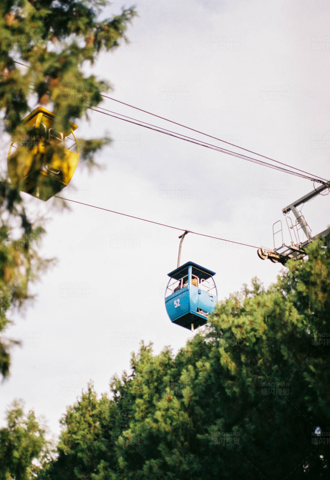 缆车穿越森林图片