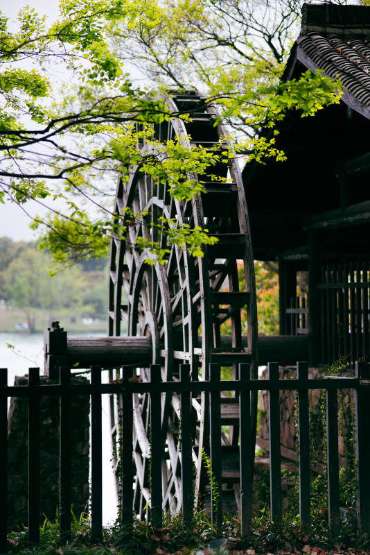 古风水车与绿树图片