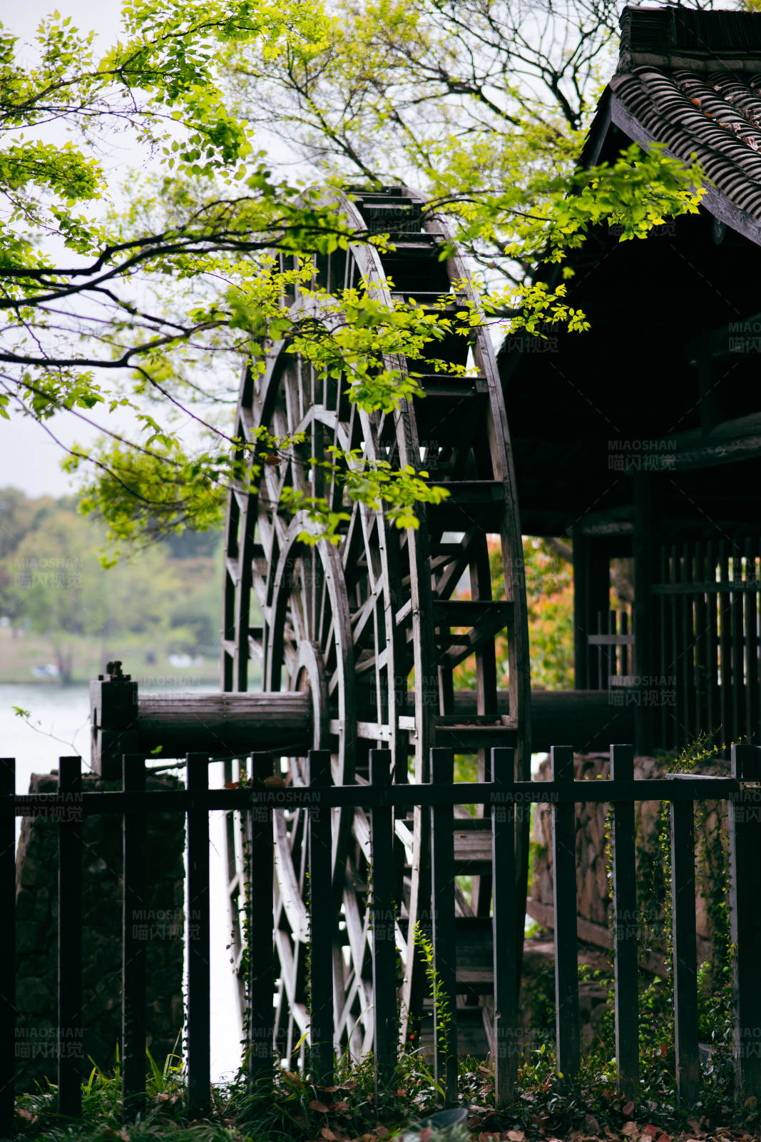 古风水车与绿树图片