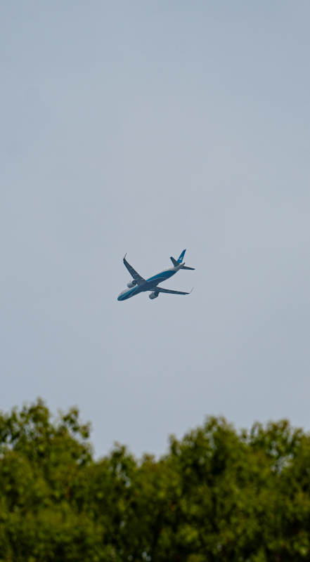 蓝天下的飞行图片