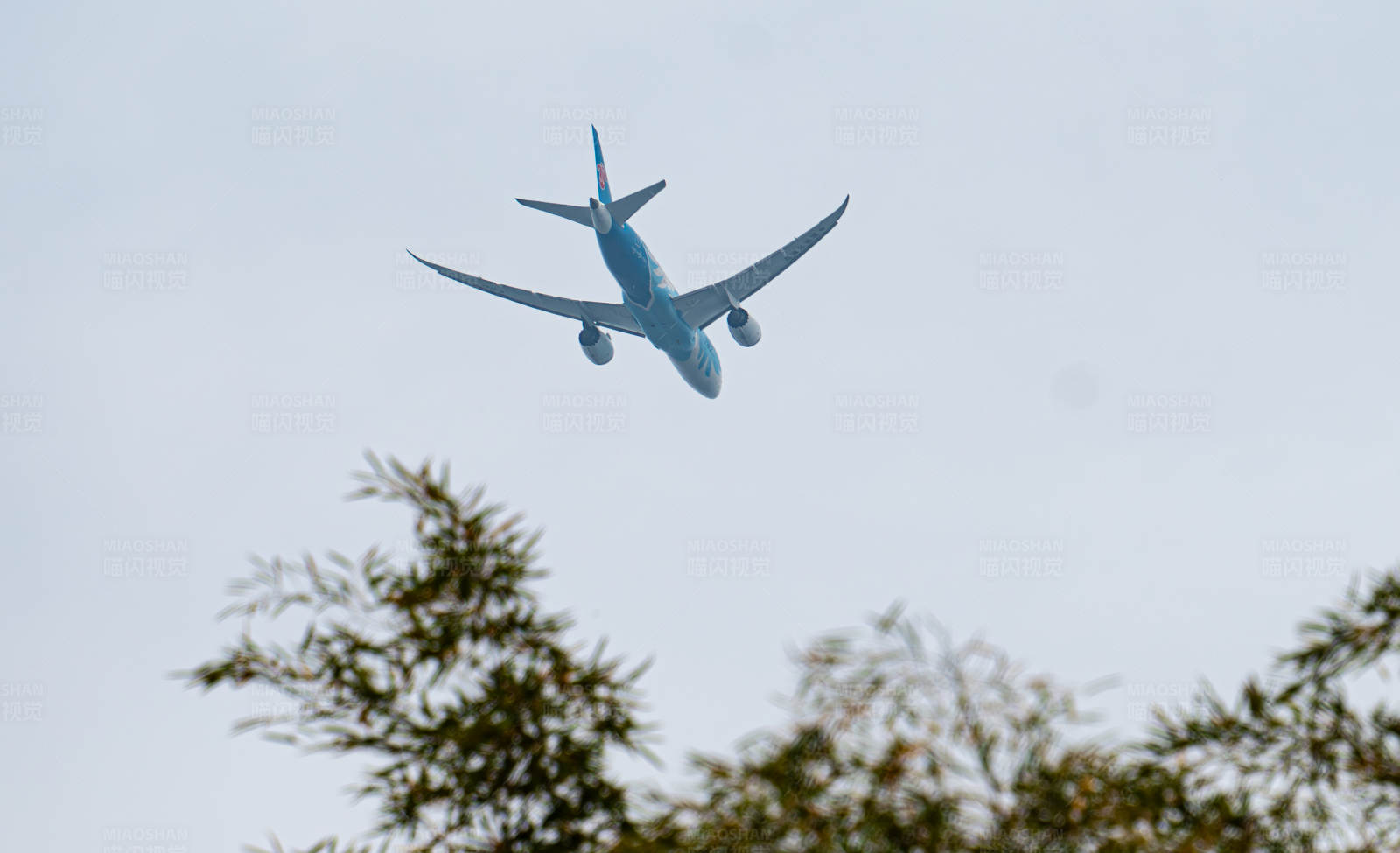 蓝天下的飞机图片