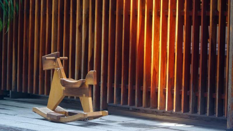 木马与光影图片