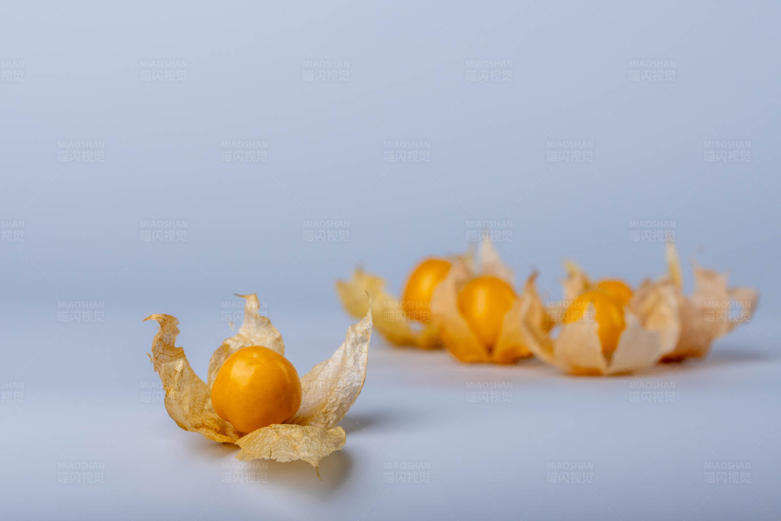 金黄色的灯笼果图片