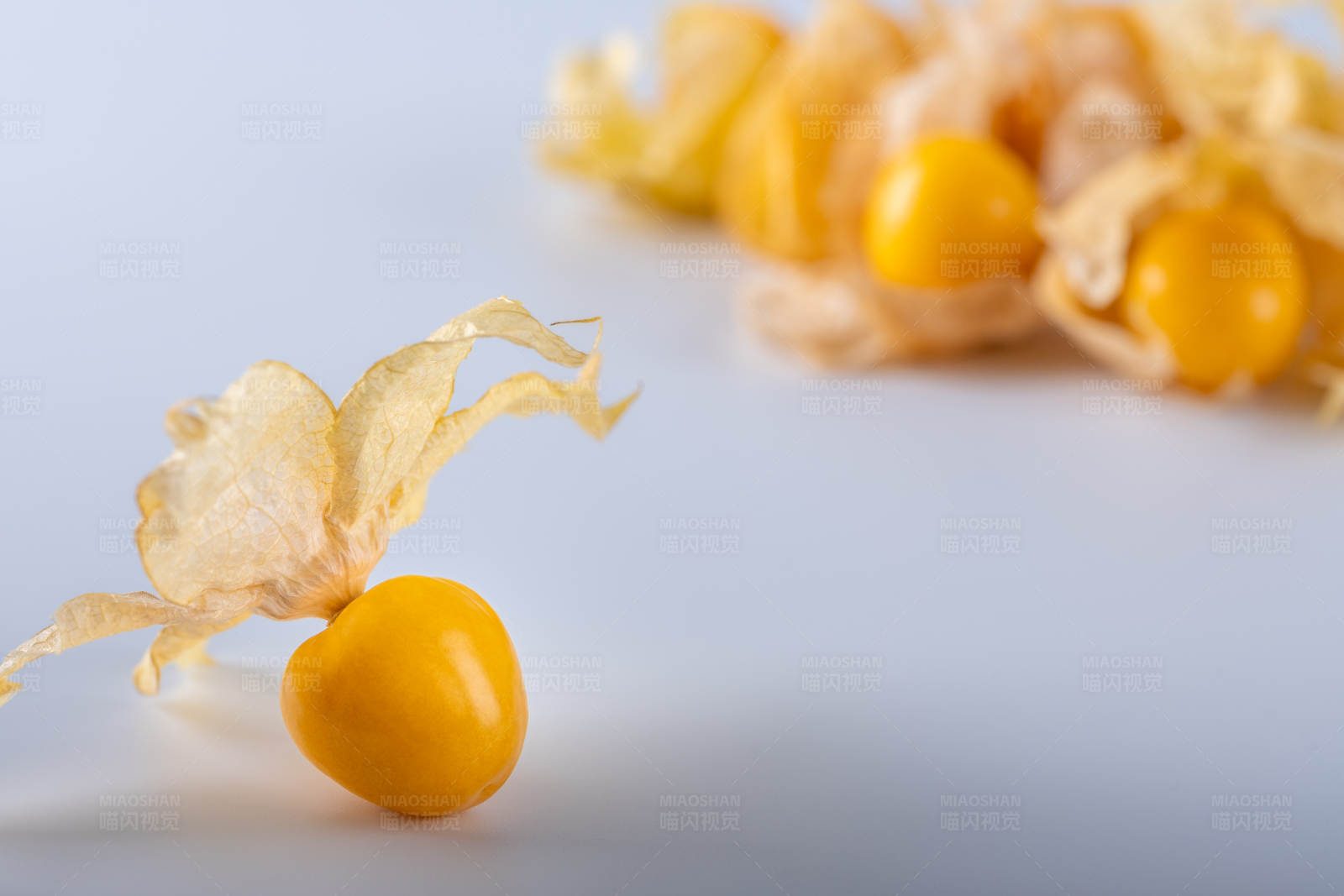 金黄色的姑娘果图片