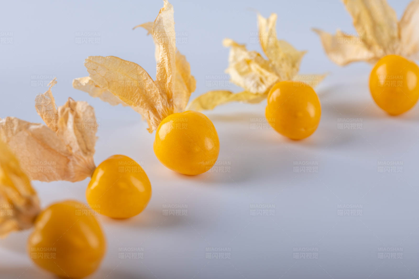 金黄色的果实与外壳图片