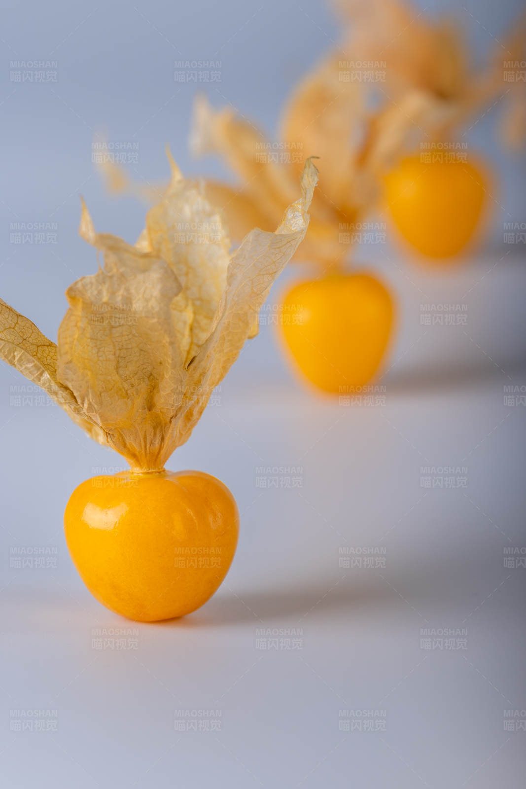 金黄色的果实与外壳图片