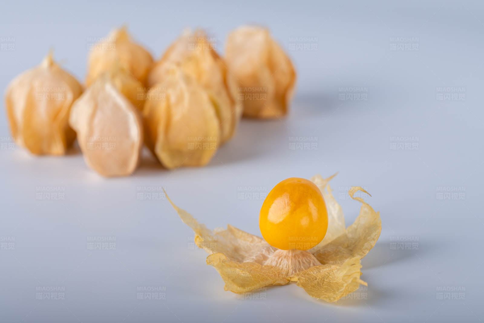 金黄色的姑娘果图片