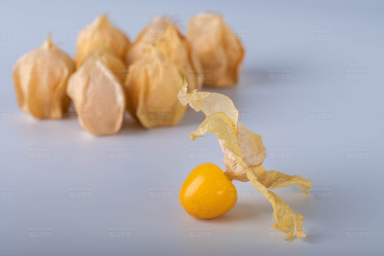 金黄色的姑娘果图片