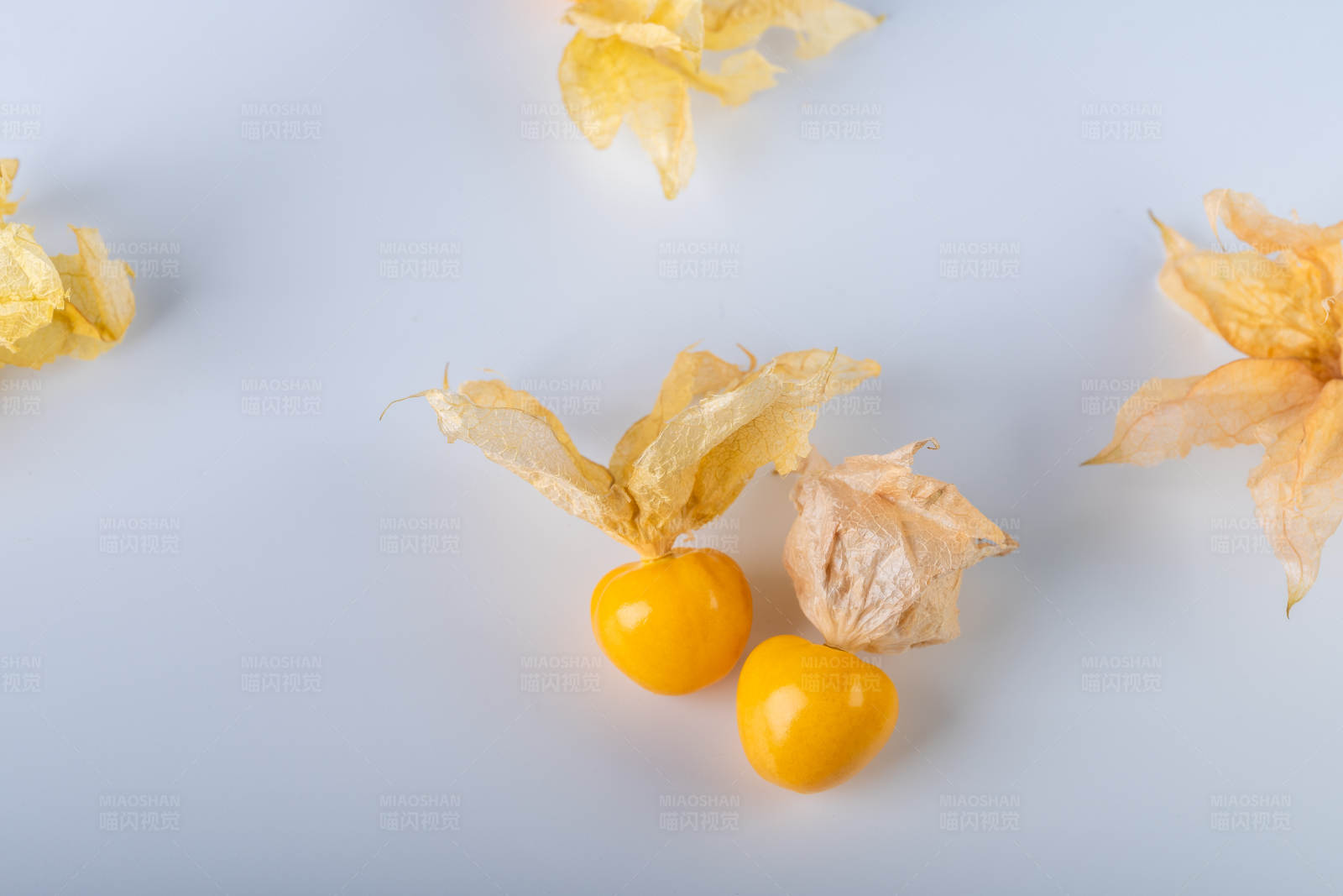 金黄色的姑娘果图片