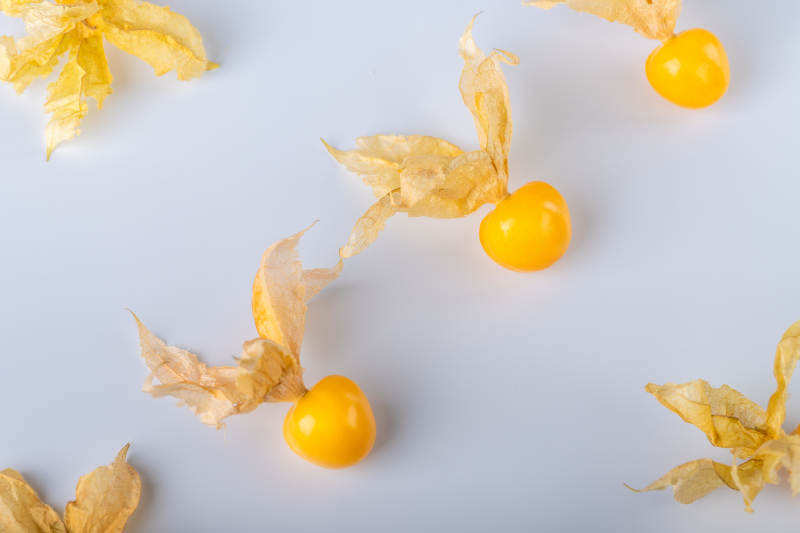 金黄色的浆果静物图图片