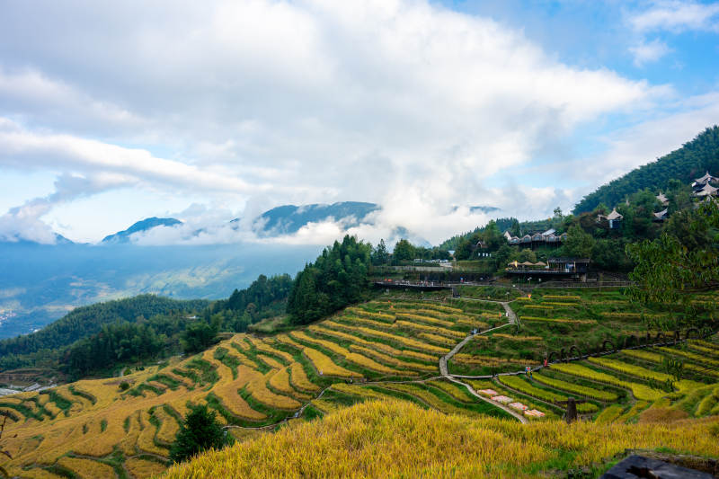 浙江丽水云和梯田图片