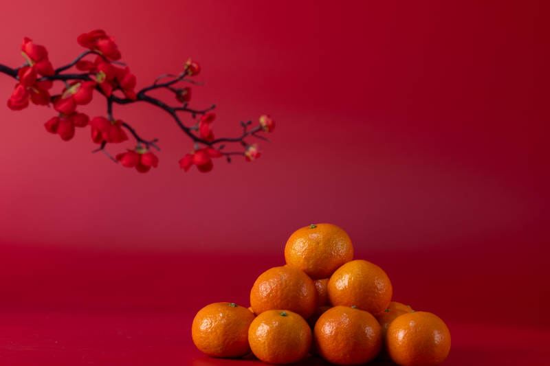 橘子与红梅迎新春图片