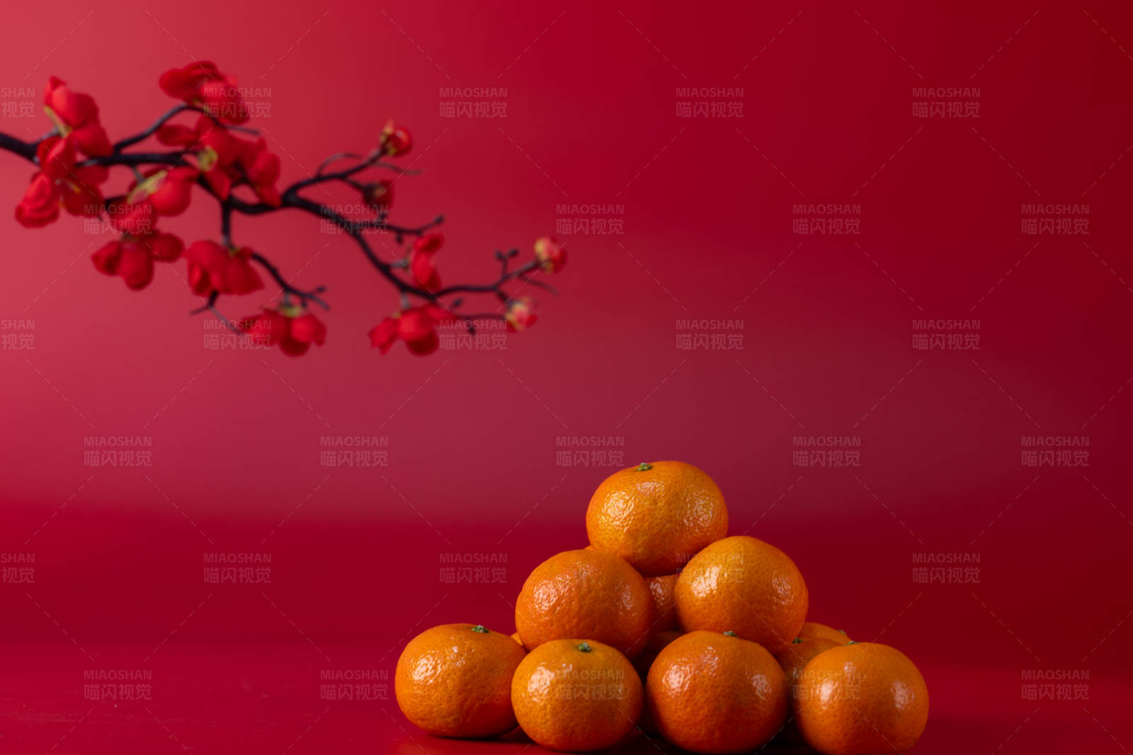 橘子与红梅迎新春图片