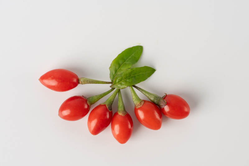 红色枸杞与绿叶图片