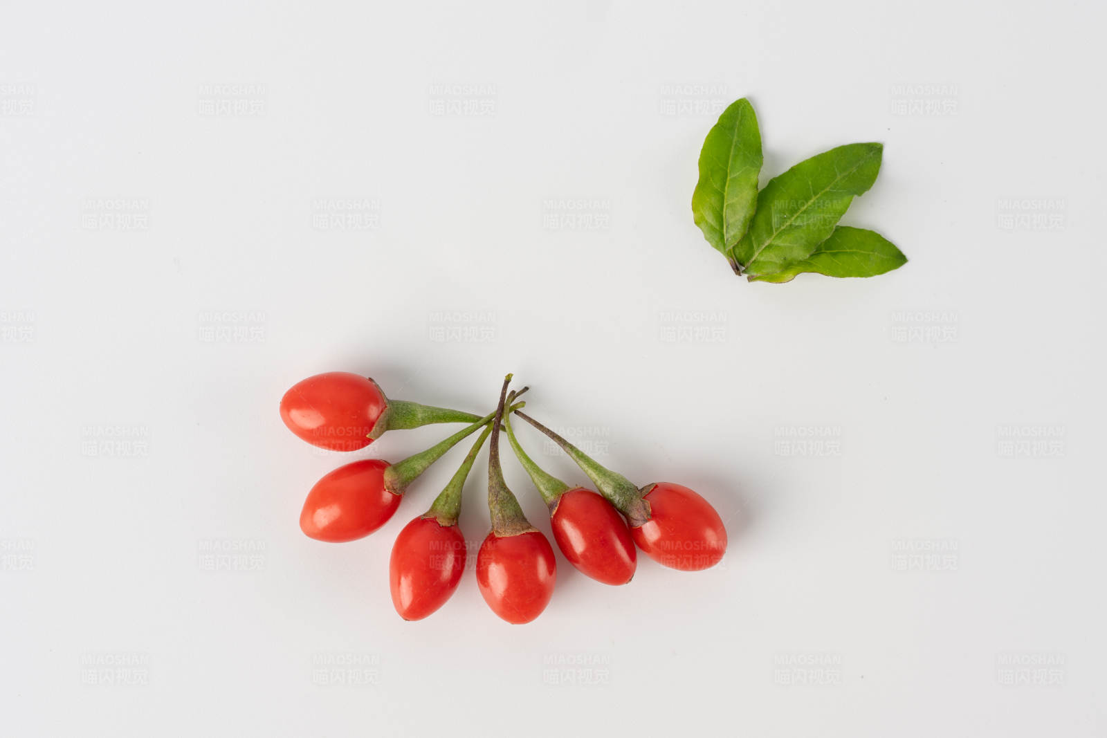 枸杞与绿叶图片