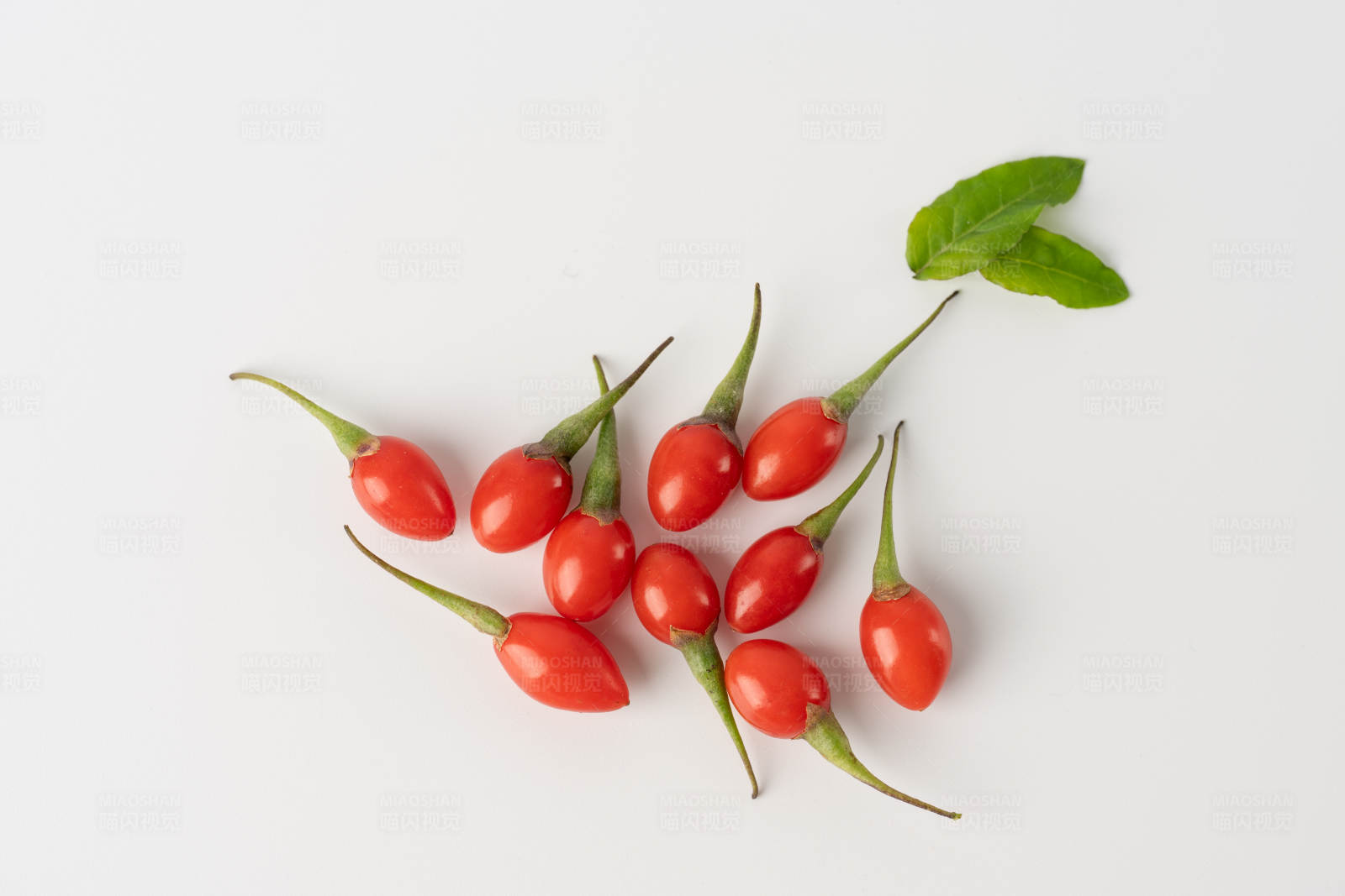 枸杞与绿叶图片