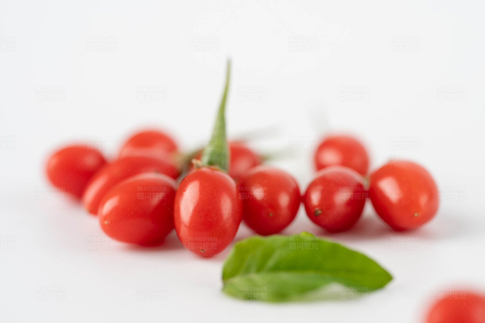 枸杞与罗勒叶图片