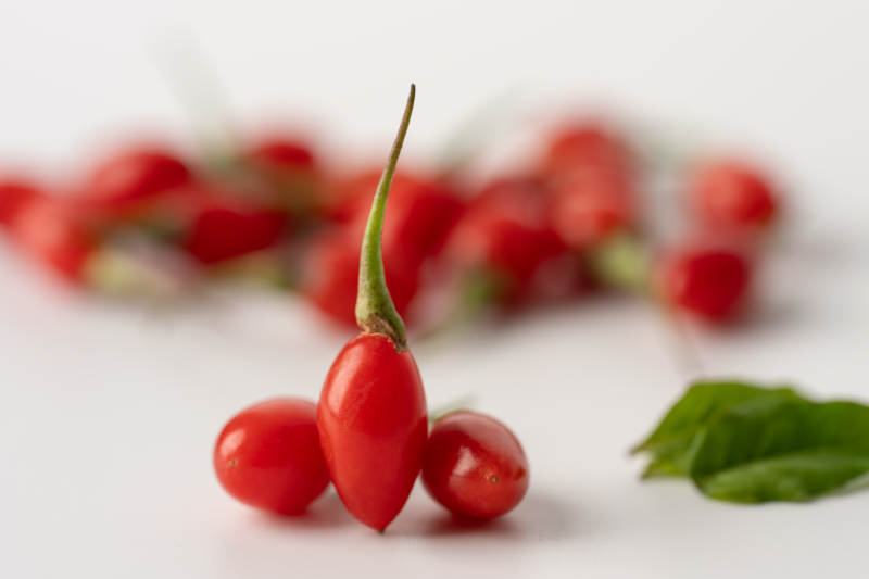 枸杞子的静谧之美图片