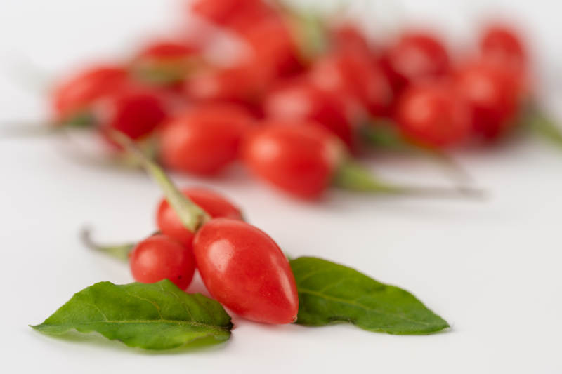 枸杞果实与绿叶图片