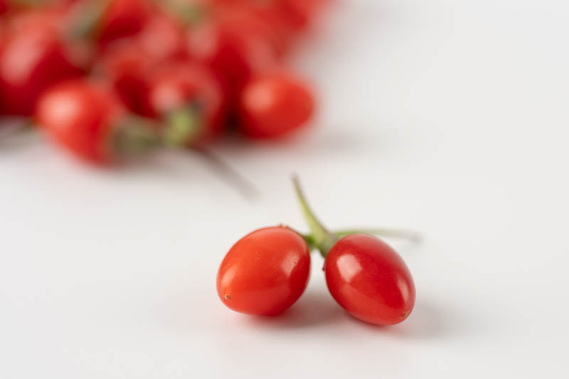 枸杞子特写图片