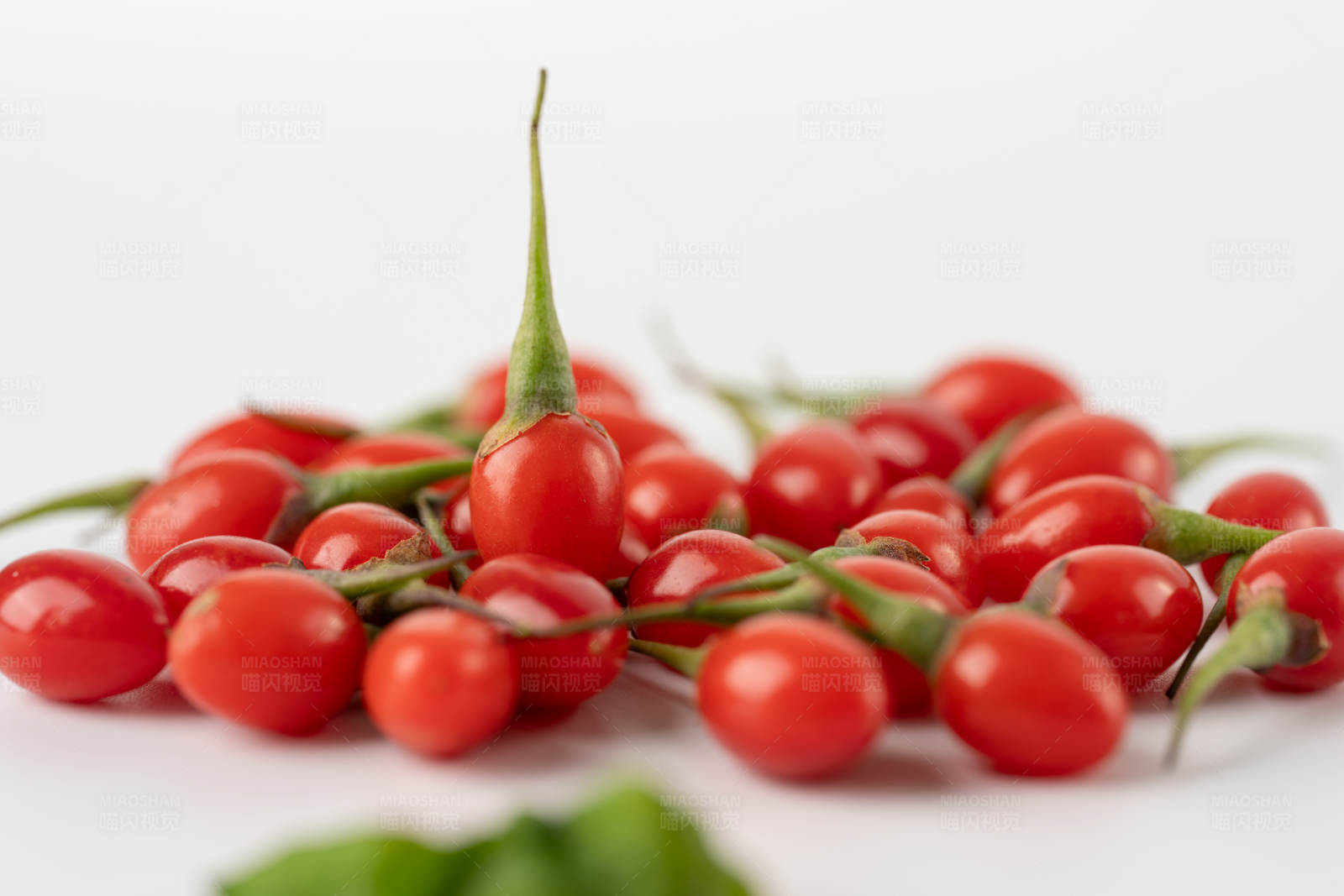 枸杞子的特写图片