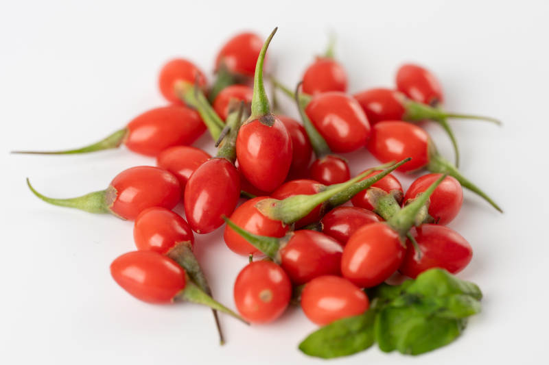 枸杞子与绿叶图片