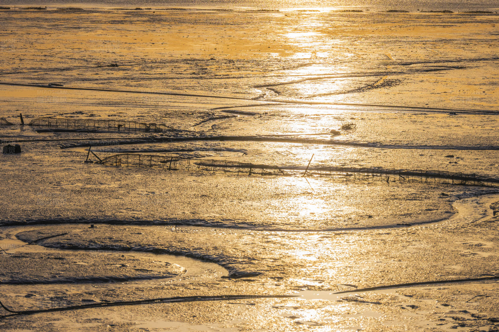 夕阳下的海滩纹理图片