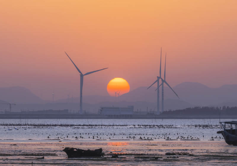 夕阳下的风车与海景图片